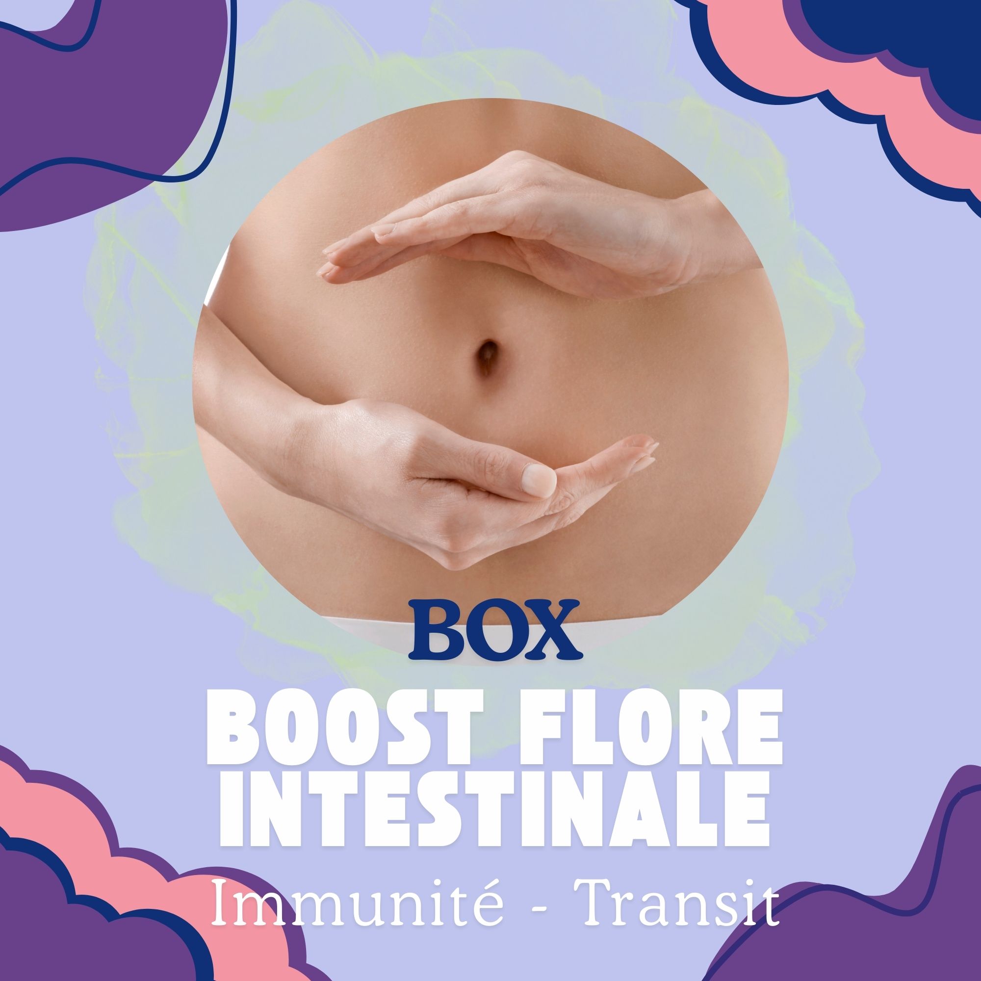 box_flore_intestinale Box Boost Flore Intestinale – Prébiotiques & Ferments Naturels – Image 1